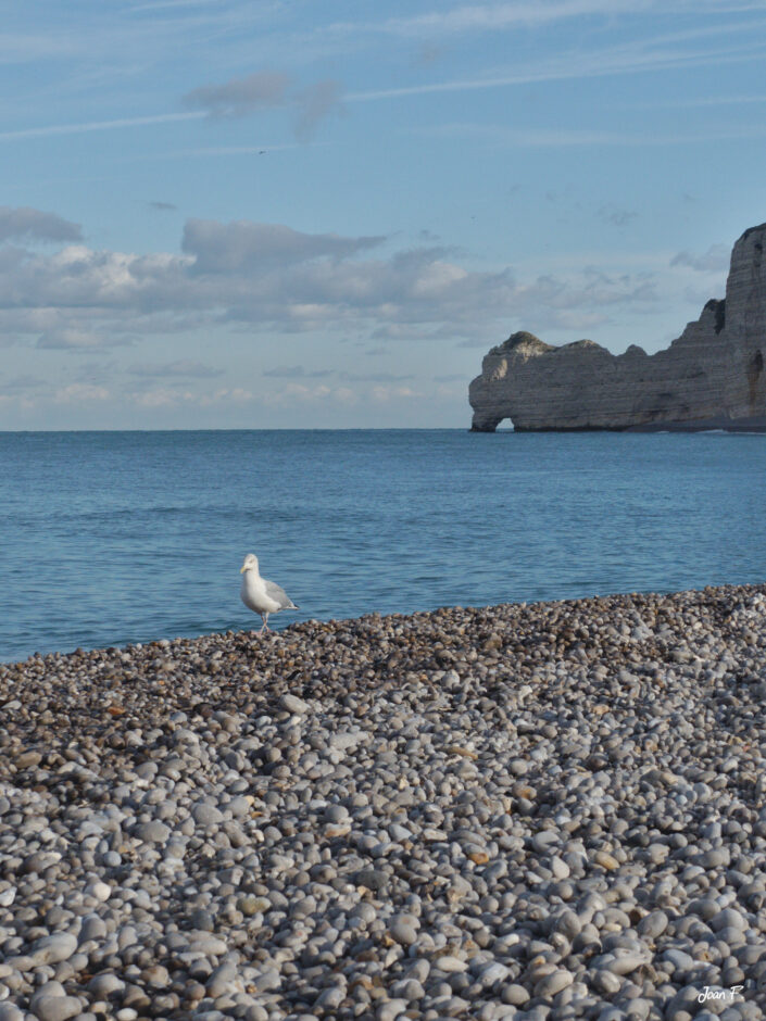 Falaises Etretat