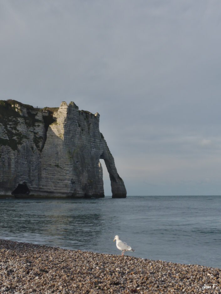 Falaises Etretat